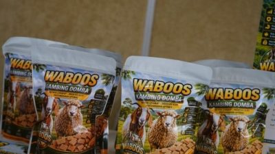 Wafer Herbal Waboos, Inovasi Mahasiswa Dongkrak Produktivitas Ternak