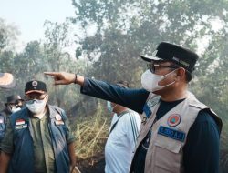 Wagub Seno Aji Sigap Turun ke Lapangan, Pemprov Kaltim dan Tim Gabungan Padamkan Karhutla di Sanga-Sanga