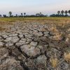 BMKG: Perubahan Iklim Bikin El Nino 2026 Datang Lebih Cepat dan Berpotensi Sangat Kuat