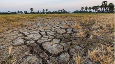 BMKG: Perubahan Iklim Bikin El Nino 2026 Datang Lebih Cepat dan Berpotensi Sangat Kuat