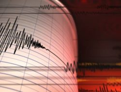 Gempa Masih Terus Terjadi di NTT, Korban Meninggal Tembus 70 Orang