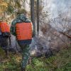 Prabowo Sebut Ubi Bombing Lawan Kebakaran Hutan, Benarkah Tepung Singkong Efektif Padamkan Api?