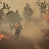 Menengok Kembali Karhutla 2015: Rugi Rp200 Triliun, 2 Juta Hektare Terbakar