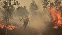 Menengok Kembali Karhutla 2015: Rugi Rp200 Triliun, 2 Juta Hektare Terbakar