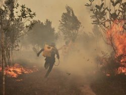 Menengok Kembali Karhutla 2015: Rugi Rp200 Triliun, 2 Juta Hektare Terbakar