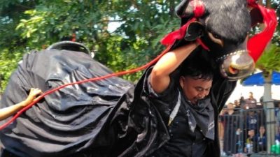 Bantengan Nuswantara XVIII Batu Hidupkan Budaya dan Ekonomi Rakyat