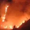 Kebakaran Bromo Tutup Jalur Jemplang, Wisata Dibatasi Demi Keselamatan