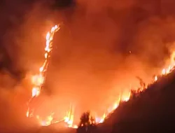 Kebakaran Bromo Tutup Jalur Jemplang, Wisata Dibatasi Demi Keselamatan