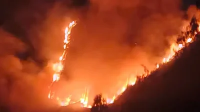 Kebakaran Bromo Tutup Jalur Jemplang, Wisata Dibatasi Demi Keselamatan