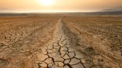 Super El Nino Mengintai, Indonesia Bersiap Hadapi Kemarau Panjang