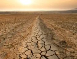 Super El Nino Mengintai, Indonesia Bersiap Hadapi Kemarau Panjang