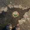 Ada Mosaik di Lubang Jalan Kota Malang, Limbah Kaca Disulap Jadi Seni Jalanan