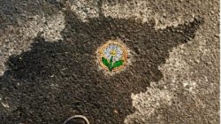 Ada Mosaik di Lubang Jalan Kota Malang, Limbah Kaca Disulap Jadi Seni Jalanan