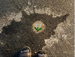 Ada Mosaik di Lubang Jalan Kota Malang, Limbah Kaca Disulap Jadi Seni Jalanan