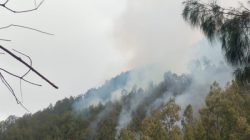 Kebakaran Gunung Kawi Meluas, Total Area Terbakar Capai 1.534 Hektare