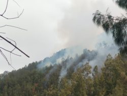 Kebakaran Gunung Kawi Meluas, Total Area Terbakar Capai 1.534 Hektare