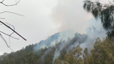 Kebakaran Gunung Kawi Meluas, Total Area Terbakar Capai 1.534 Hektare
