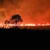 Emisi Karbon Indonesia Melonjak 429 Persen Akibat Kebakaran Hutan dan Lahan