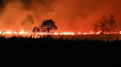 Emisi Karbon Indonesia Melonjak 429 Persen Akibat Kebakaran Hutan dan Lahan