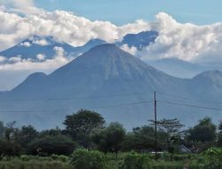 Sempat Ditutup karena Kebakaran Hutan, Pendakian Arjuno-Welirang Segera Dibuka Lagi