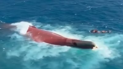 TNI AL Turunkan 5 KRI dan Pesawat Cari Korban Kapal Terbalik di Laut Jawa