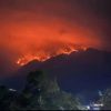 Gunung Wilis Terbakar, Terdeteksi Ada 46 Titik Panas