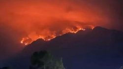 Gunung Wilis Terbakar, Terdeteksi Ada 46 Titik Panas
