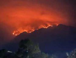 Gunung Wilis Terbakar, Terdeteksi Ada 46 Titik Panas