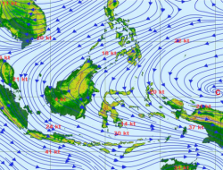Angin 48 Km/Jam Menghantam Jatim, BMKG Minta Warga Waspada