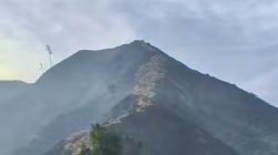 Kebakaran Hutan Arjuno-Welirang Padam, Petugas Tetap Siaga