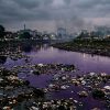 Pencemaran Sungai dan TPS Ilegal, Pemkot Kota Malang Disorot