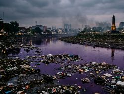 Pencemaran Sungai dan TPS Ilegal, Pemkot Kota Malang Disorot