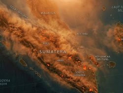 Asap Karhutla Selimuti 13 Daerah Aceh, Jarak Pandang Turun 2 Km