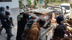 Tim Bestari Semesta Unisba Blitar Dorong Kemandirian Pakan Ternak Berbasis Potensi Lokal di Desa Tegalrejo