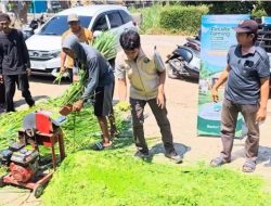 Tim Bestari Semesta Unisba Blitar Dorong Kemandirian Peternak melalui Inovasi Bank Pakan