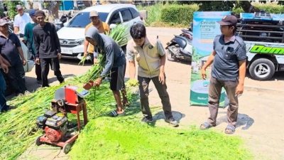 Tim Bestari Semesta Unisba Blitar Dorong Kemandirian Peternak melalui Inovasi Bank Pakan