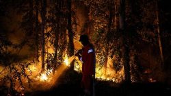 Karhutla Bikin Indonesia Pimpin Emisi Karbon Dunia, Brasil Jauh Tertinggal