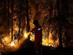 Karhutla Bikin Indonesia Pimpin Emisi Karbon Dunia, Brasil Jauh Tertinggal