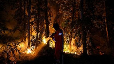 Karhutla Bikin Indonesia Pimpin Emisi Karbon Dunia, Brasil Jauh Tertinggal