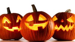 Labu Berwajah Seram Selalu Ada saat Halloween, Begini Sejarah dan Maknanya