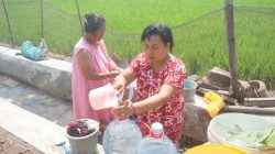 Sumur Puluhan Rumah Warga Jombang Mengering, Terpaksa Ambil Air dari Irigasi Sawah