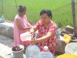 Sumur Puluhan Rumah Warga Jombang Mengering, Terpaksa Ambil Air dari Irigasi Sawah