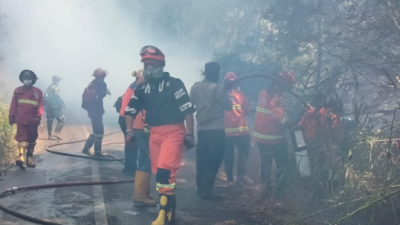 Karhutla Bromo Tewaskan Empat Orang, Perubahan Angin Jadi Sorotan
