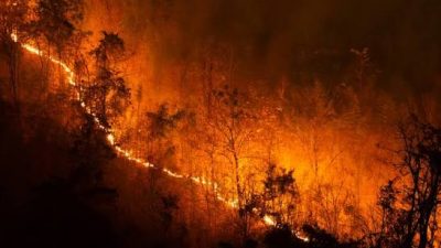 Kerugian Ekonomi akibat Karhutla 2026 Capai Rp 167 Triliun, Ini Rinciannya