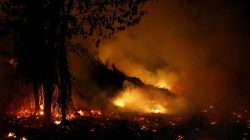 Asap Karhutla Indonesia Menyebar hingga Timor Leste, Sekolah Ditutup Tiga Hari