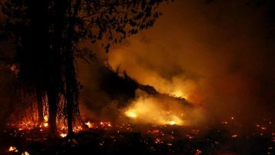 Asap Karhutla Indonesia Menyebar hingga Timor Leste, Sekolah Ditutup Tiga Hari