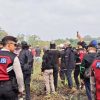 Kebun Mumbul Jember Tertibkan Lahan 60 Hektare, Konflik Agraria Disorot